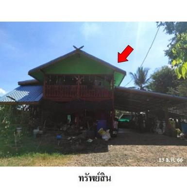 ขายบ้านเดี่ยวถนน จัตุรัส-หนองบัวระเหว ต.บ้านกอก อ.จัตุรัส ชัยภูมิ