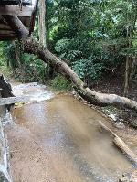 ขายที่ดินพร้อมบ้านไม้ ท่ามกลางธรรมชาติ 