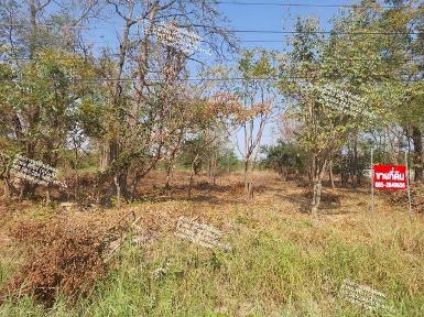 ขายที่ดินติดถนนสายลาดยาว-คลองลาน อำเภอลาดยาว จังหวัดนครสวรรค์