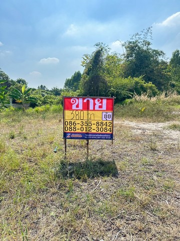 ขายที่ดิน 380 ตารางวา มาบไผ่ บ้านบึง ชลบุรี 