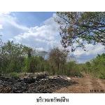 ขายที่ดินว่างเปล่า ถนน มะลิวัลย์ ต.ขัวเรียง อ.ชุมแพ จ.ขอนแก่น