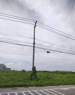 ขายที่สีม่วง 24 ไร่ ติดถนนใหญ่ ต.มาบข่า อ.นิคมพัฒนา จ.ระยอง