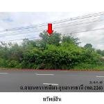 ขายที่ดินว่างเปล่า ต.หนองคู อำเภอ ลำปลายมาศ จังหวัด บุรีรัมย์