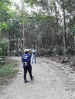 ขายที่ดินสวนสักยาง34ไร่2งาน 24ล. ต.สถาน เชียงของ เชียงราย