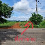 ขายที่ดิน12ไร่86ว.5.6ล.รวมโอน ต.ช่องสาริกา พัฒนานิคม ลพบุรี