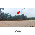 ขายบ้านเดี่ยว ต.ทุ่งกง อำเภอกาญจนดิษฐ์ จังหวัดสุราษฎร์ธานี