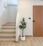 ขายพร้อมผู้เช่า 2.59 ล้าน #กุลพันธ์วิลล์2 #แม่เหียะ #รีโนเวทใหม่