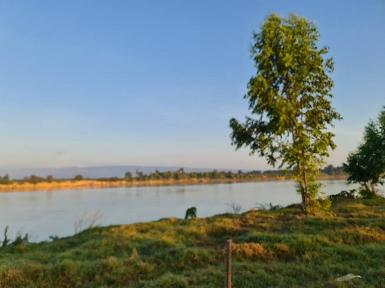 เดือนความรักหาทรัพย์สวย ขายที่ติดน้ำโขง ต.กุดบง โพนพิสัย หนองคาย