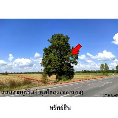 ขายที่ดินว่างเปล่า ต.บ้านจาน อำเภอ พุทไธสง จังหวัด บุรีรัมย์