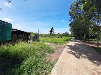 ขายที่ดิน 22-2-58ไร่ 3ล. ต.บ้านกล้วย ชนแดน เพชรบูรณ์