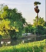 ค้าขายได้ ติดถ.ลาดยางติดคลอง16 ใกล้มศว.องครักษ์ ที่ดินถมแล้ว เกือ