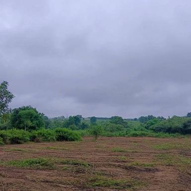 ขายที่ดินแปลงสวย ราคาดี โซนมาบยางพร ปลวกแดง ระยอง