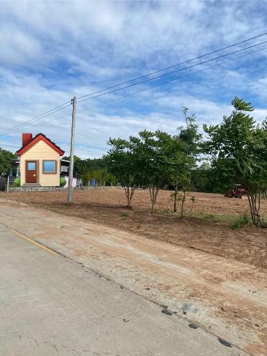 ขายที่ดินเปล่า โฉนด 1 ไร่ หลัง รพ.บัวใหญ่ โคราช 