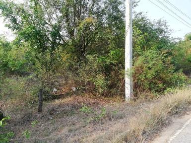 เดือนความรักหาทรัพย์สวยสักแปลง ขายที่แปลงสวยติดติดทางหลวง1107 จ.ต