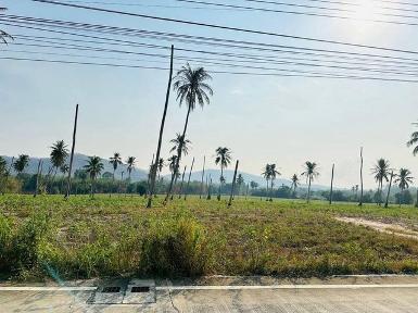 ขายที่ดินแปลงสวยหุบบอน เขาคันทรง ศรีราชา ชลบุรี 