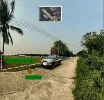 ขายที่ดิน13-1-90ไร่ 3.5ล. ลำไย ทุ่งนา หนองยวง เวียงหนองล่อง ลำพูน