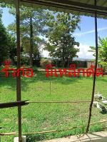 ขายที่ดิน 274 ตรว ตำบลน้ำชำ อ สูงเม่น แพร่ ในราคาที่หาไม่ได้อีกแล