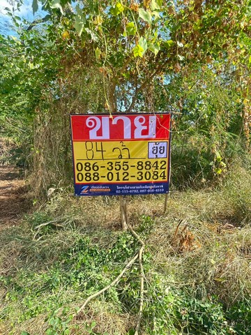 ขายที่ดิน 84ตารางวา มบ.สีวลีรังสิต 1 ซอยรังสิตนครนายก50 ปทุมธา