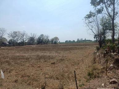 ที่ดินขนาด 6 ไร่ 3 งาน 84 ตารางวา อำเภอปากท่อ จังหวัดราชบุรี 