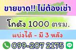 ขายโกดัง แปลงใหญ่ 1000 ตรม. ตรงข้ามตลาดบึงบัว รังสิต 