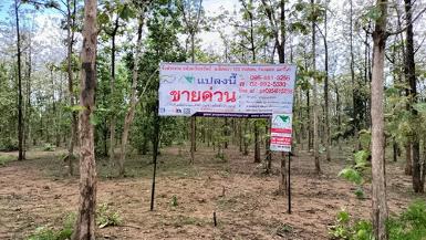 ที่ดินพร้อมสวนป่าสัก 8-2-21 ไร่ ต.ทุ่งยั้ง อ.ลับแล จ.อุตรดิตถ์