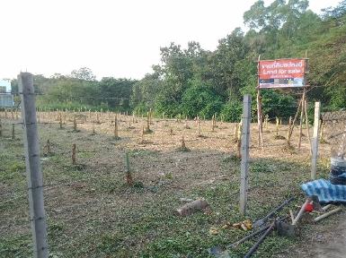 ขายที่ดินเปล่า เนื้อที่ 1-1-11.5 ไร่ สารภี เชียงใหม่