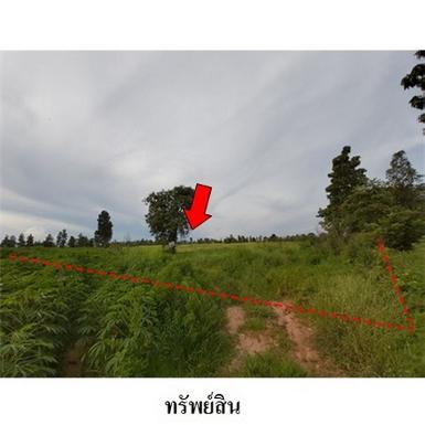 ขายที่ดินว่างเปล่า ถ.สายชัยภูมิ-หนองบัวแดง ต.รอบเมือง จ.ชัยภูมิ 