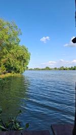 ขายที่ดินติดแม่น้ำ  3  ถึง  4 ไร่ ต.บ้านโพธิ์ อ.บ้านโพธิ์ จ.ฉะเชิ