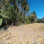 ขายที่ดิน 2 ไร่ พร้อมต้นสักอายุ 22 ปี ลพบุรี