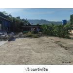 ขายที่ดินว่างปล่า ต.หนองบัว อ.ภูเรือ จ.เลย