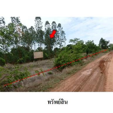 ขายที่ดินว่างเปล่า ถ.สายบ้านยางบ่า-โคกสูง ต.โคกสูง อ.เมือง จ.ชัยภ