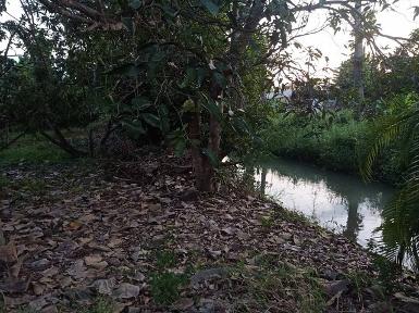 ขายที่ดิน137ว.1.37ล.ใกล้ตลาดประตูป่า ต.เหมือง่า เมือง ลำพูน