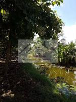 ให้เช่าที่ดิน400ตร.มติดถนนใหญ่ย่านพุทธมณฑลสาย1สายใต้ใหม่