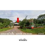 ขายโรงงาน/โกดัง ต.ปากแพรก อ.ดอนสัก จ.สุราษฎร์ธานี