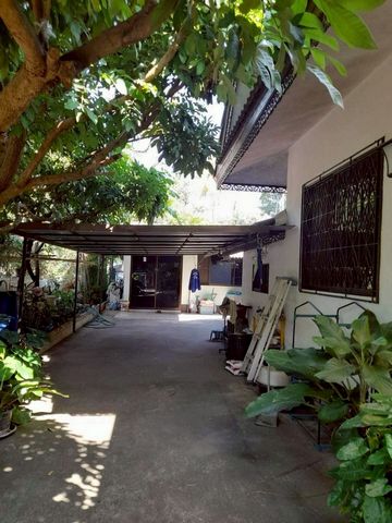 ขาย 3.5 ล้าน บ้านพร้อมที่ดิน 150 ตรว. เฟอร์นิเจอร์ตามรูป สันทราย