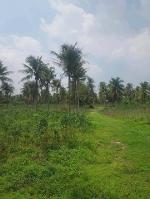 ขายที่ดินศรีราชา 24 ไร่ 1 งาน 99 ตารางวา