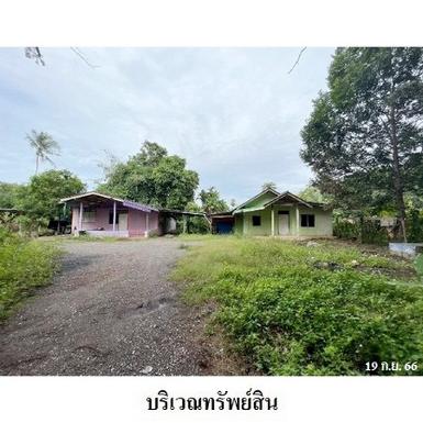 ขายบ้านเดี่ยว ต.ท่าโรงช้าง อำเภอ พุนพิน จังหวัด สุราษฎร์ธานี