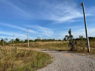 ขายที่ดิน 3-1-51ไร่ 2.3ล. ใกล้ถนนใหญ่ ต.บ้านกอก อ.จัตุรัส ชัยภูมิ