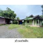 ขายบ้านเดี่ยว ต.ท่าโรงช้าง อำเภอ พุนพิน จังหวัด สุราษฎร์ธานี