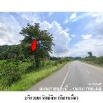 ขายที่ดินว่างเปล่า ต.บางสวรรค์ อ.พระแสง จ.สุราษฎร์ธานี