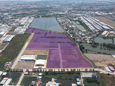 ขายที่ดิน ผังสีม่วง โครงการ พระสมุทรเจดีย์ ตำบลในคลองบางปลากด