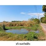 ขายที่ดินว่างเปล่า ต.สระนกแก้ว อ.โพนทอง จ.ร้อยเอ็ด
