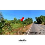 ขายที่ดินว่างเปล่า ต.สระนกแก้ว อ.โพนทอง จ.ร้อยเอ็ด