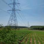 ขายที่ดินเขาคันทรง ศรีราชา แปลงสวย ทำเลดี เยื้องๆนิคมโรจนะ บ่อวิน