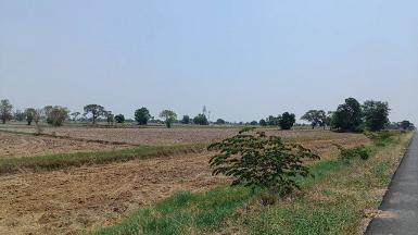 ขายที่ดิน 11 ไร่ 2 งาน 39 ตารางวา เจ้าของขายเอง จังหวัดสุรินทร์