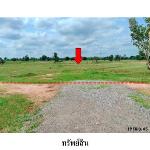 ขายที่ดินว่างเปล่า ต.รอบเมือง อำเภอ เมืองชัยภูมิ