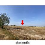 ขายที่ดินว่างเปล่า ต.ขี้เหล็ก อำเภอ ปทุมรัตต์ จังหวัด ร้อยเอ็ด