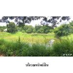 ขายบ้านเดี่ยว ต.กะฮาด อำเภอ เนินสง่า จังหวัด ชัยภูมิ