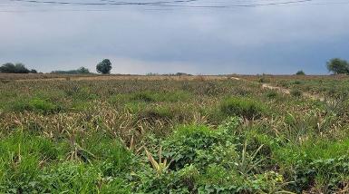 ขายที่ดินนิคมพัฒนา แปลงสวย ทำเลดี ใกล้นิคมอมตะโซนจีน ระยอง