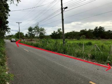 ขายที่ดิน5ไร่ 2.5ล. ถ.2เลน วังธารทอง ต.ดอยหล่อ ดอยหล่อ เชียงใหม่